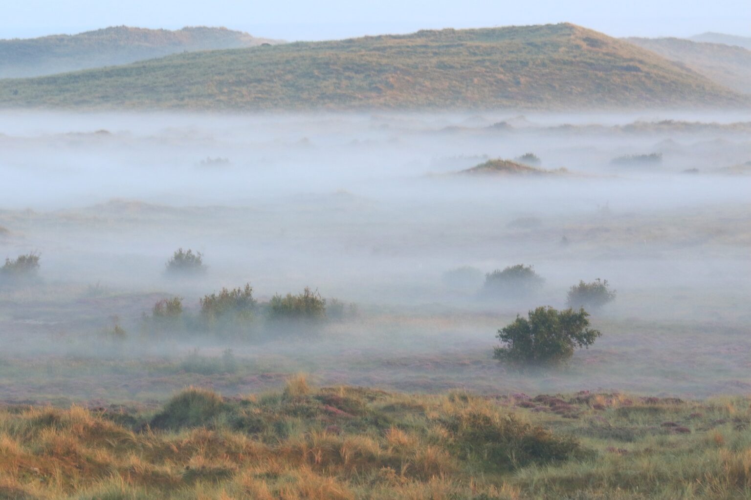 Natuur Terschelling